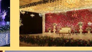 Reception Floral Wall Stage - Game Jockey & Team Building Udaipur